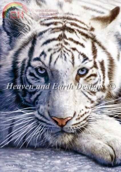 White Tiger.jpg