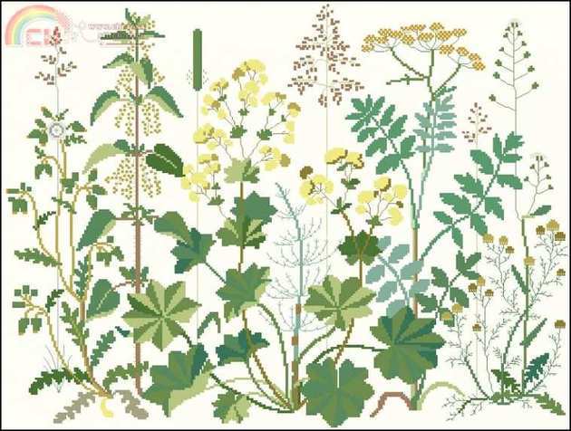30-1873 Wild Herbs.jpg