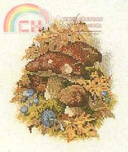Permin___Boletus_edulis.jpg