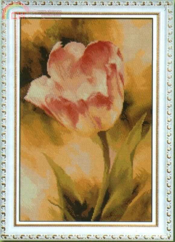 Nastunya 2009.01(19) - Tulip №2.jpg
