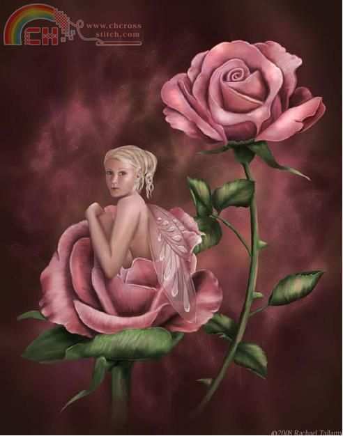 Charmed rose.jpg