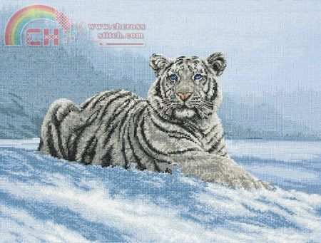 5678000-01011 Siberian Tiger.jpg