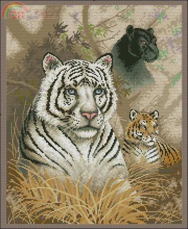 Dimensions35052_Eyes_in_the_Wild.jpg