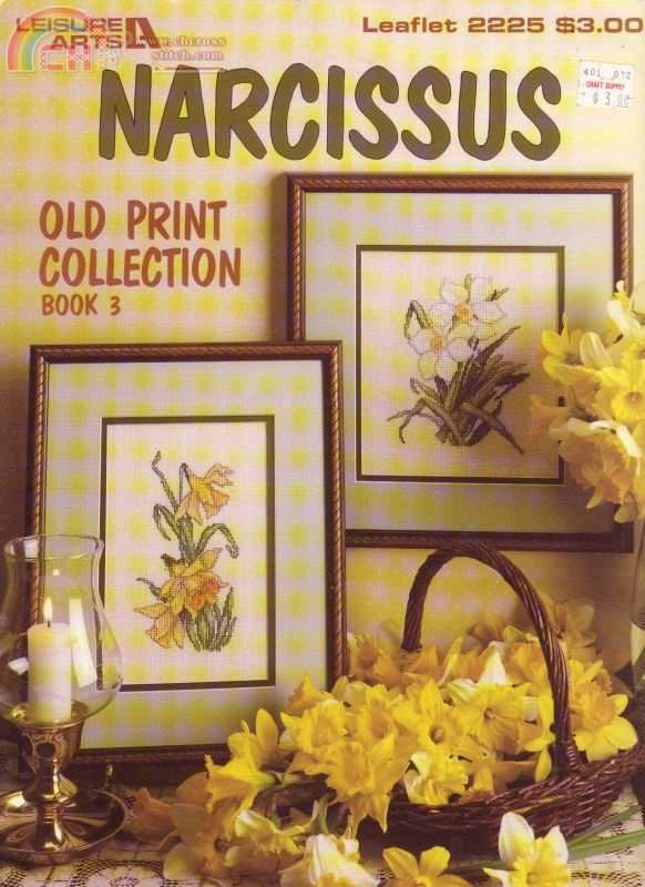 Narcissus_0001.jpg