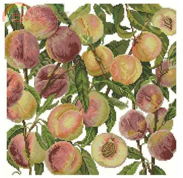 Just Peachy.jpg