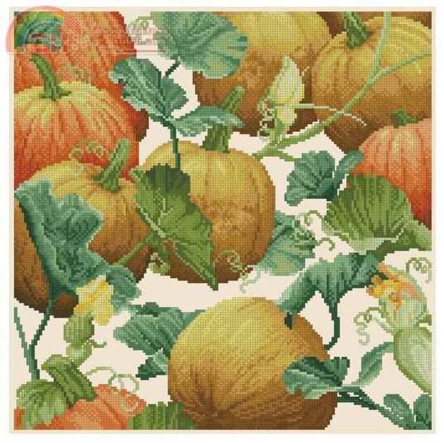 Donna Vermillion Giampa Pumpkin Patch.jpg