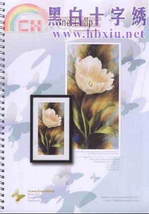 One Tulip.jpg