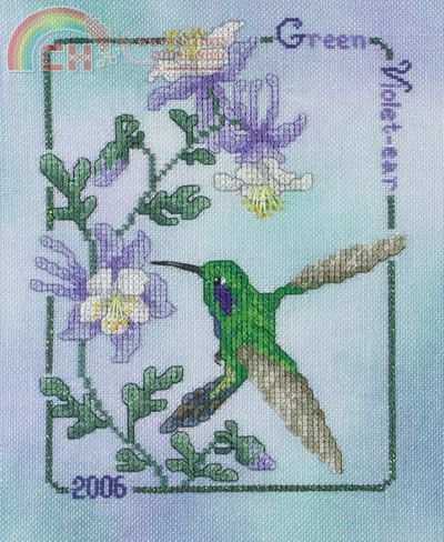 2006 Green Violet ear Hummingbird.jpg