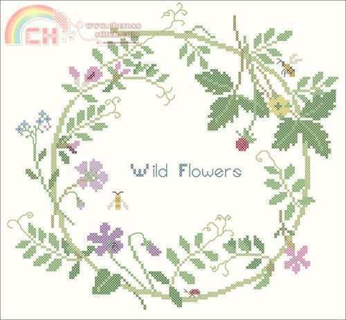 Wild Flowers.jpg