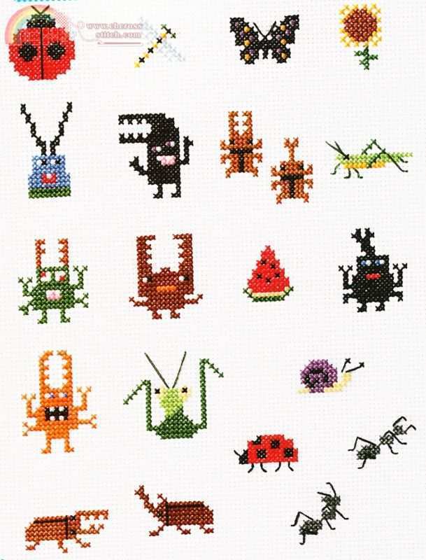 insectsfront.jpg