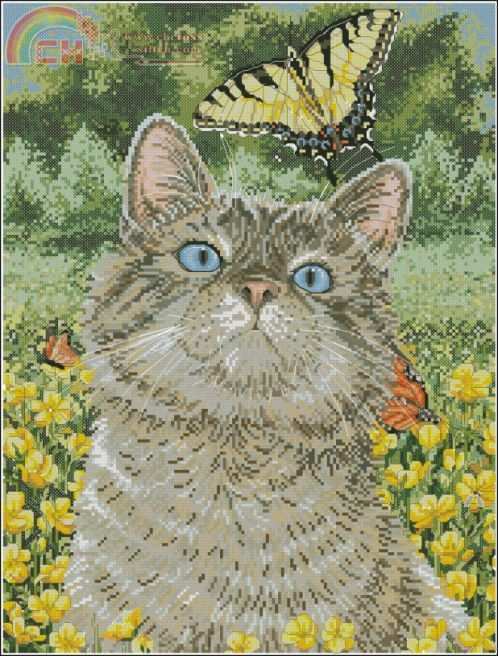 45397 Buttercup.jpg