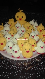 Chicken and chick