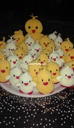 Chicken and chick