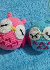 Sleeping Owl