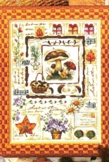 Dome 90905 - Mushroom Sampler PCS