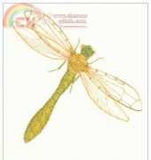 Anchor Leaflet - Dragonfly Motif