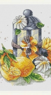 Summer Lantern by Irina Katz XSD