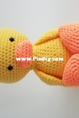 Pato - duck