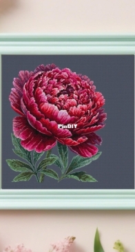 Peony by Anastasiia Yermakova XSD