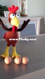 IlDikko  - Poultry Paul
