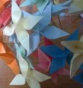 Colourful Paper flowers