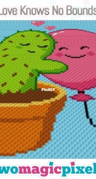 Two Magic Pixels - Love knows no Bounds