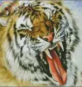 I Love CrossStitch OT-043  Tiger 2
