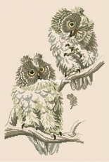 Pako 235.314 Two Owls  XSD