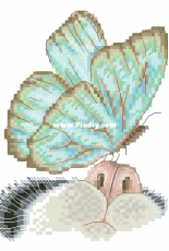 Curious Nose by Natalia Aksenova XSD