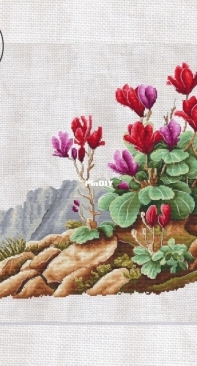 Cyclamen in the Mountains by Eva Stitch and Morra Marran