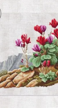 Cyclamen in the Mountains by Eva Stitch and Morra Marran