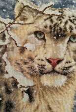 Finally! Snow Leopard - Dimensions