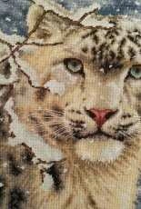 Finally! Snow Leopard - Dimensions
