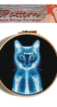 NikkiPattern N°1243 2 - Cat X-Ray 1 - 2016 PCS + XSD