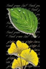 Four Seasons leaves - LV5738 - 5739 - 5740 - 5741 by lvyinand XSD