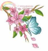 Flowers and Butterfly