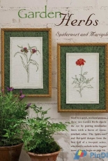 Garden Herbs from Just Cross Stitch June and August 2006