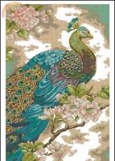 Dimensions 70-35293 - Indian Peacock XSD