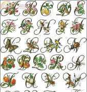 Pako 219.244 - Flora & Fauna ABC XSD