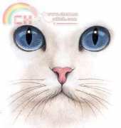 Cat Face