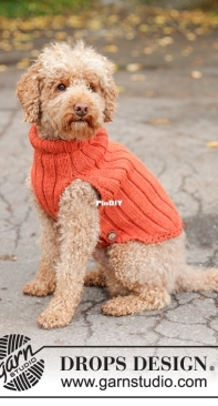 Drops Design - Outdoor Fun Dog Sweater  - Spanish - Free