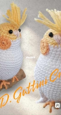 My parrot