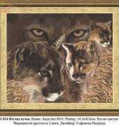 Zolotoe Runo ZR DZH-024 Pumas Glare / ДЖ-024 Взгляд пумы