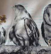 barnowl