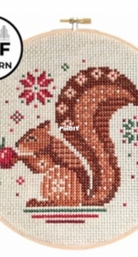 Pigeon coop design Jolly  Squirrel