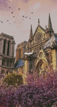 Chimera - Notre Dame