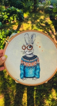 rabbit