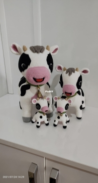 Cow Family