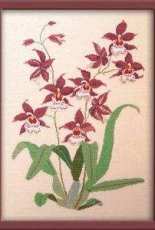 Haandarbejdets Fremme 30-9832 - Orchid, Red (Orkide)