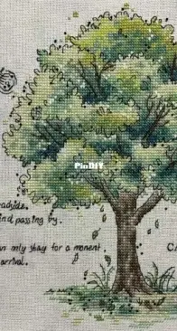 Calm and still tree